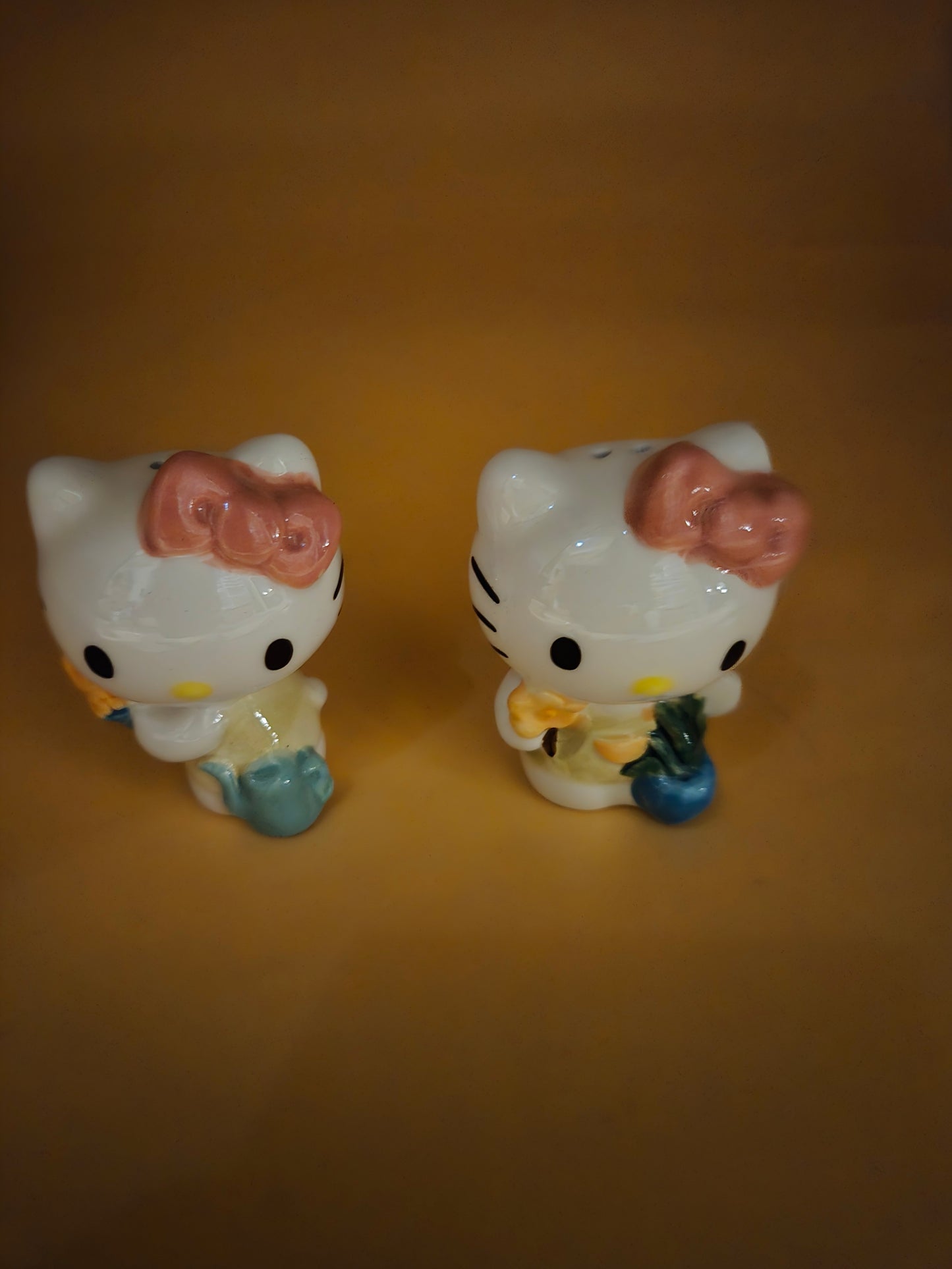 Hello Kitty Flower S&P Set