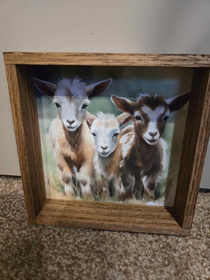 Three Baby Goats - Watercolor painting