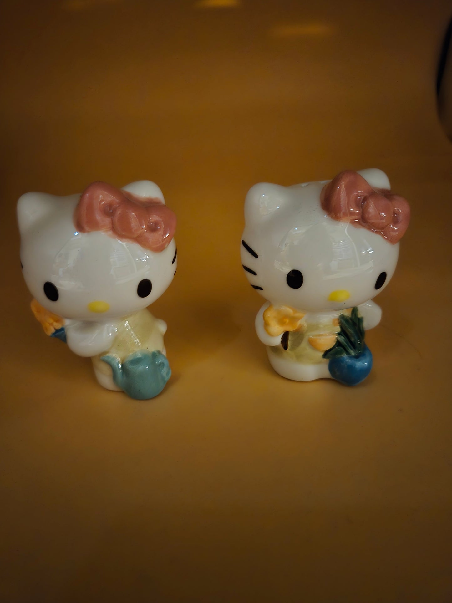 Hello Kitty Flower S&P Set