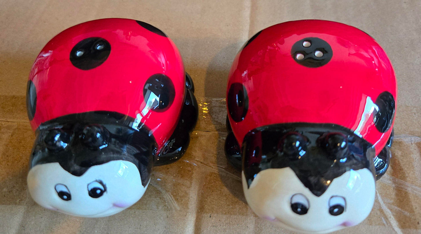 Salt & Pepper Shakers - Lady Bug